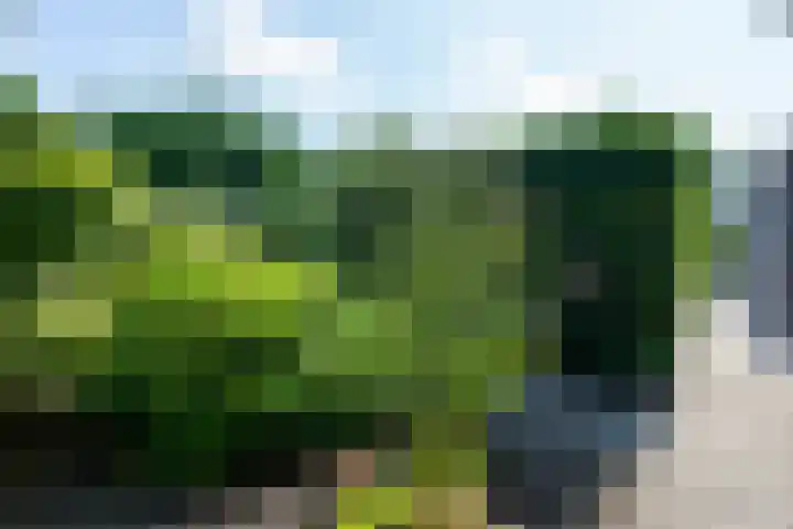 Jan Glijnisweg 14 B Heerhugowaard thumbnail 75