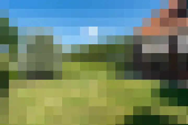 Jan Glijnisweg 14 B Heerhugowaard thumbnail 79