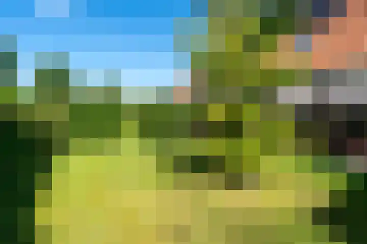 Jan Glijnisweg 14 B Heerhugowaard thumbnail 81
