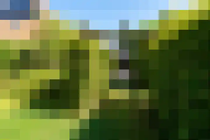 Jan Glijnisweg 14 B Heerhugowaard thumbnail 83