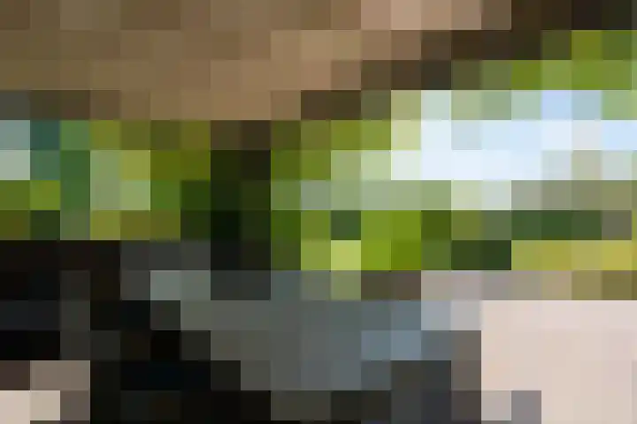 Jan Glijnisweg 14 B Heerhugowaard thumbnail 92