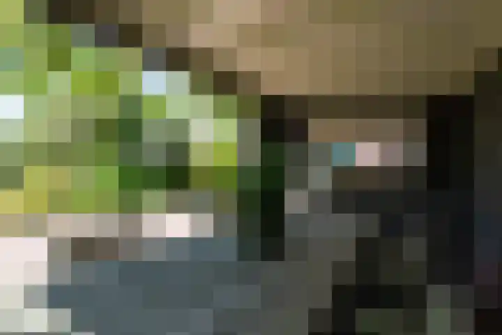 Jan Glijnisweg 14 B Heerhugowaard thumbnail 93