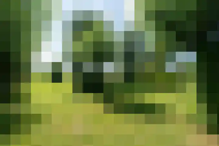 Jan Glijnisweg 14 B Heerhugowaard thumbnail 96
