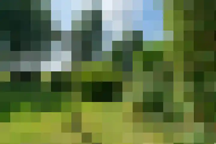 Jan Glijnisweg 14 B Heerhugowaard thumbnail 97