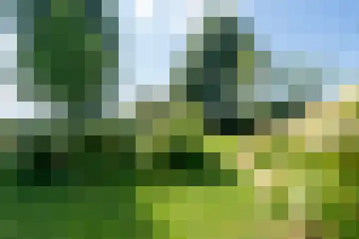 Jan Glijnisweg 14 B Heerhugowaard thumbnail 98