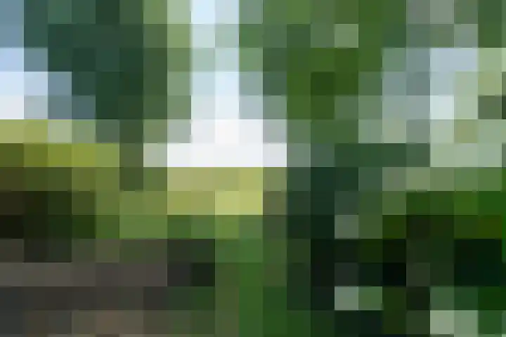 Jan Glijnisweg 14 B Heerhugowaard thumbnail 99
