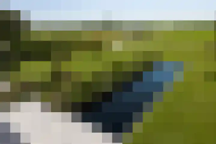 Jan Glijnisweg 18 F Heerhugowaard thumbnail 22