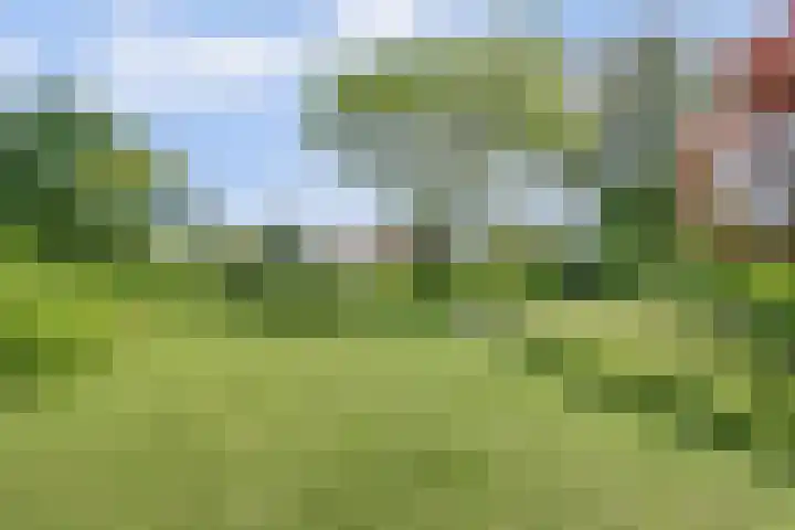 Jan Glijnisweg 69 Heerhugowaard thumbnail 4