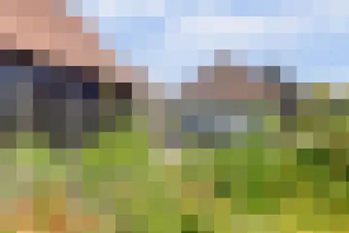 Jan Glijnisweg 69 Heerhugowaard thumbnail 50