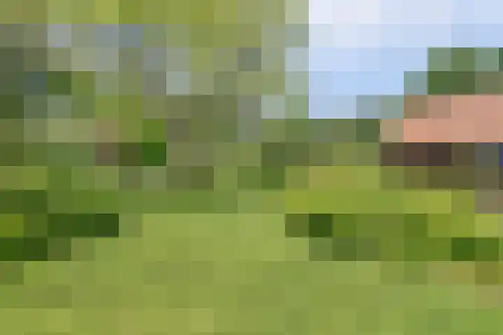 Jan Glijnisweg 69 Heerhugowaard thumbnail 61