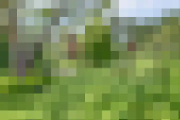 Jan Glijnisweg 69 Heerhugowaard thumbnail 62