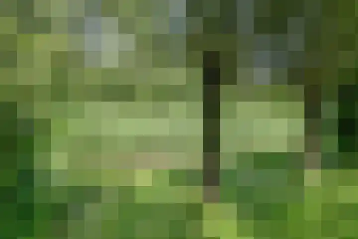 Jan Glijnisweg 69 Heerhugowaard thumbnail 66