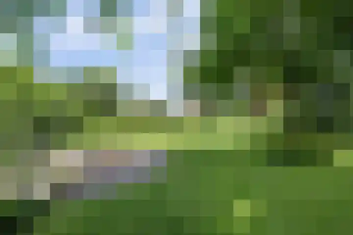 Jan Glijnisweg 69 Heerhugowaard thumbnail 67