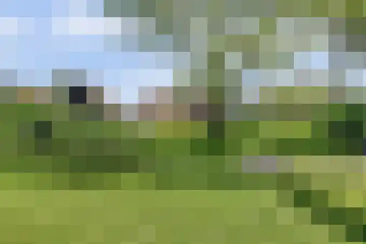 Jan Glijnisweg 69 Heerhugowaard thumbnail 68