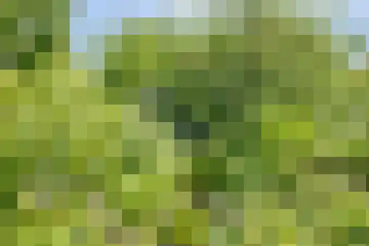Jan Glijnisweg 69 Heerhugowaard thumbnail 69