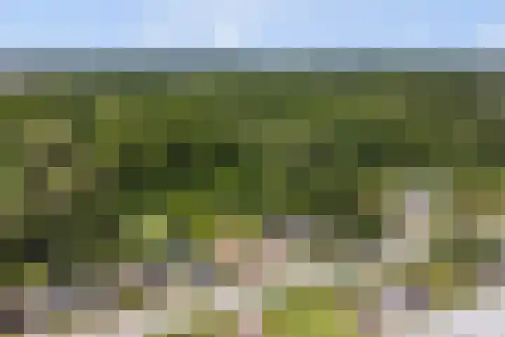 Jan Glijnisweg 69 Heerhugowaard thumbnail 80