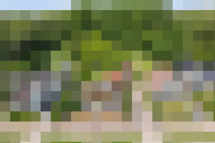 Jan Glijnisweg 69 Heerhugowaard thumbnail 82