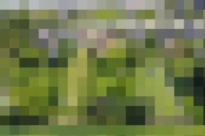 Jan Glijnisweg 69 Heerhugowaard thumbnail 84