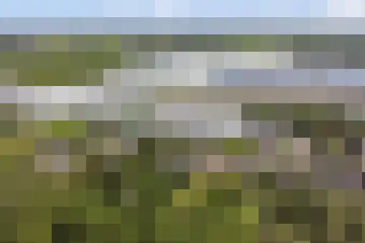 Jan Glijnisweg 69 Heerhugowaard thumbnail 85