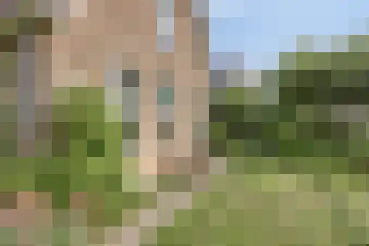 Jan Glijnisweg 83 Heerhugowaard thumbnail 51