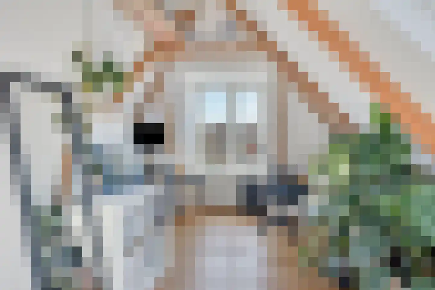 Jan Goeverneurstraat 13 a Groningen thumbnail 31
