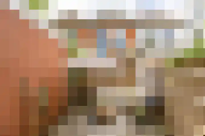 Jan Goeverneurstraat 24 Groningen thumbnail 38