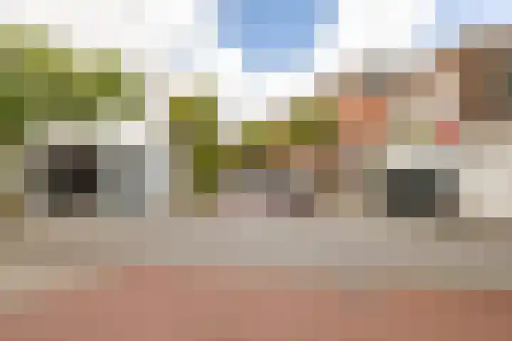 Jan Goeverneurstraat 24 Groningen thumbnail 41