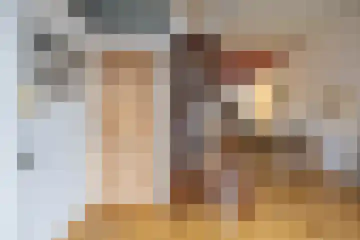Jan Goeverneurstraat 28 a Groningen thumbnail 16