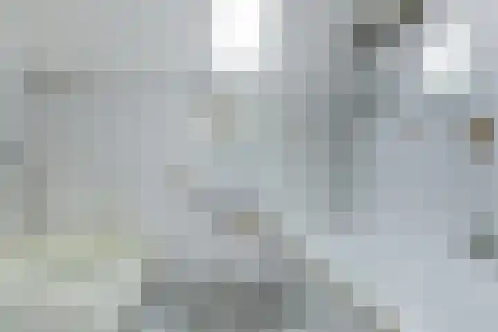 Jan Gooskaai 23 Enkhuizen thumbnail 26