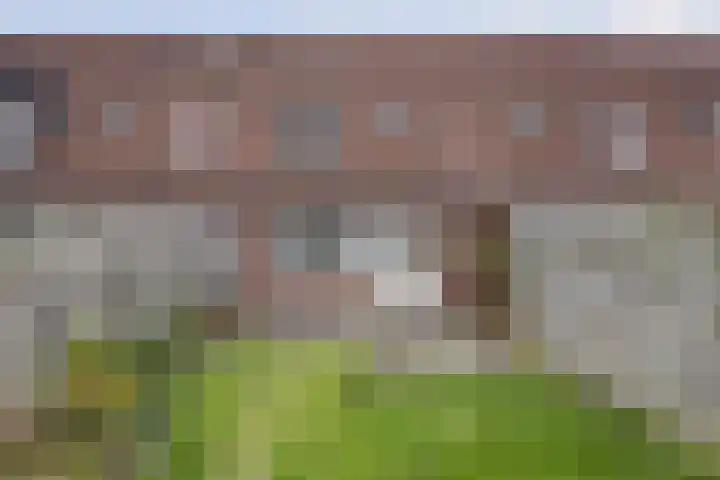 Jan Gooskaai 23 Enkhuizen thumbnail 32
