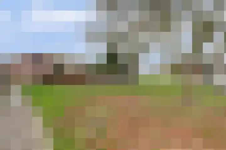 Jan Gooskaai 23 Enkhuizen thumbnail 40