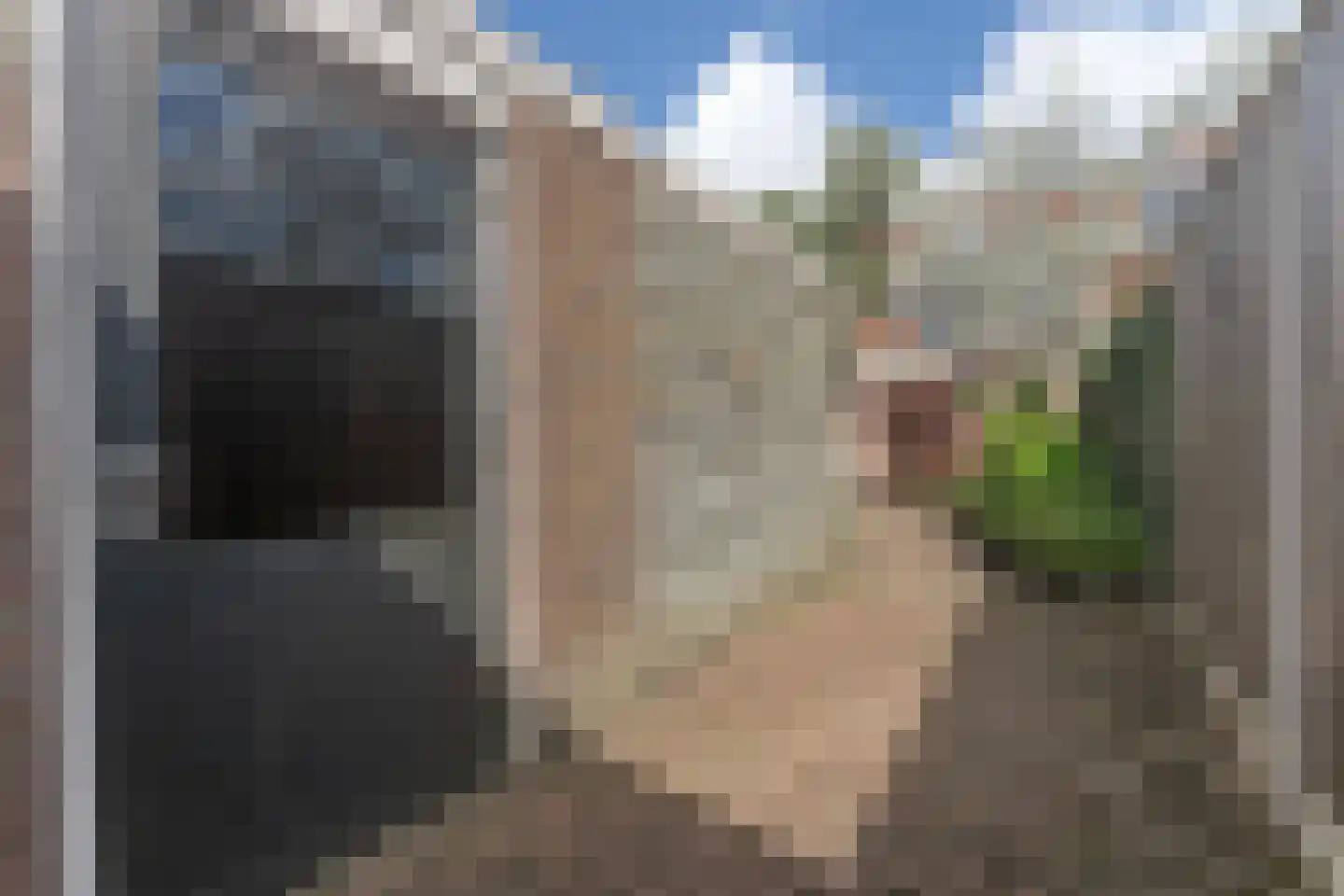 Jan Gooskaai 3 Enkhuizen thumbnail 11
