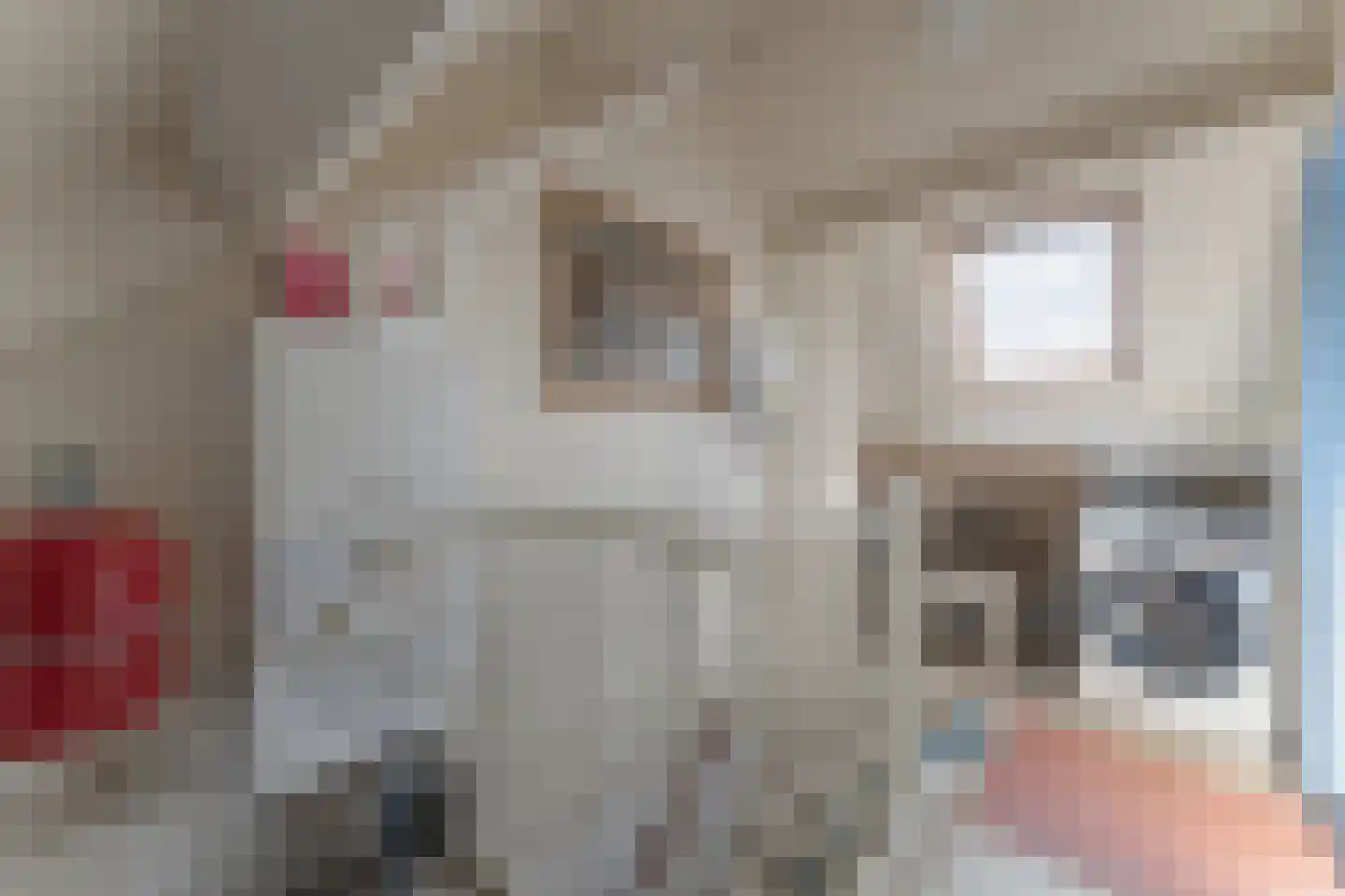 Jan Gooskaai 3 Enkhuizen thumbnail 36