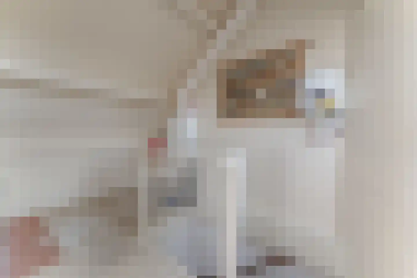 Jan Gooskaai 3 Enkhuizen thumbnail 37