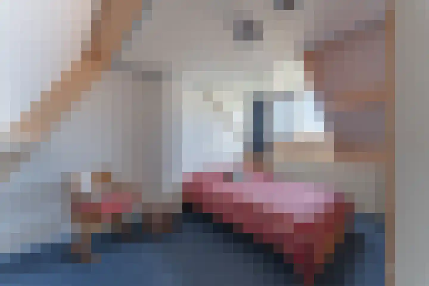 Jan Gooskaai 3 Enkhuizen thumbnail 38