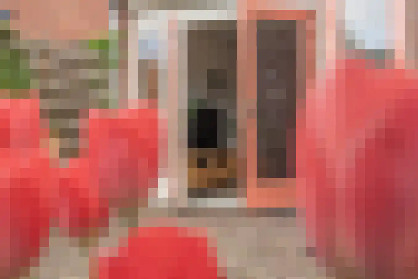 Jan Gooskaai 3 Enkhuizen thumbnail 4