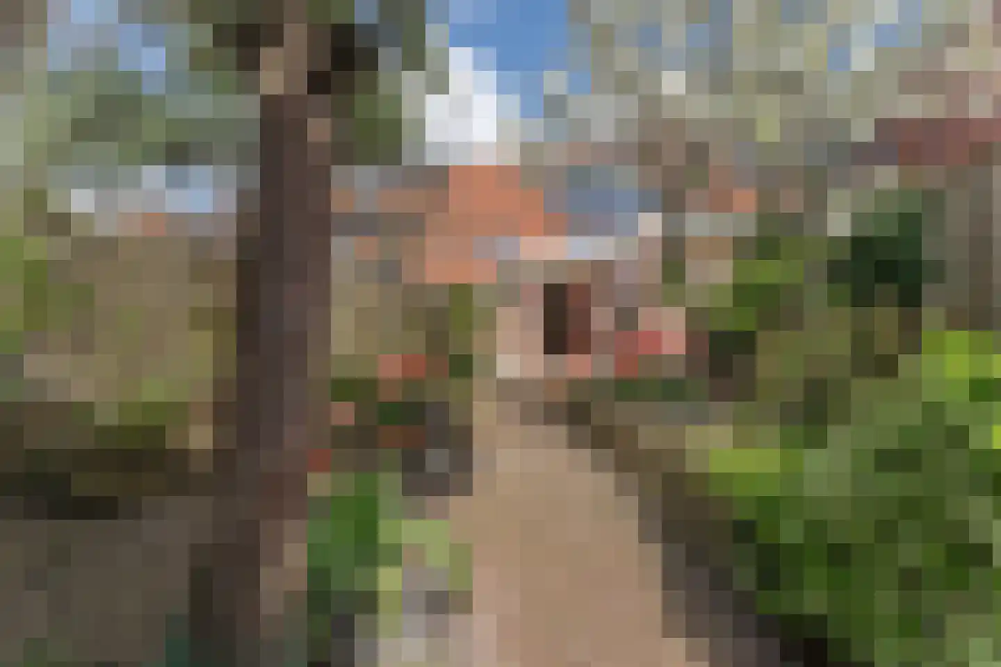 Jan Gooskaai 3 Enkhuizen thumbnail 42