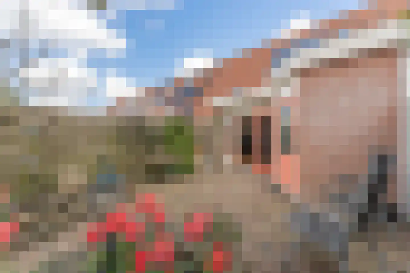 Jan Gooskaai 3 Enkhuizen thumbnail 43