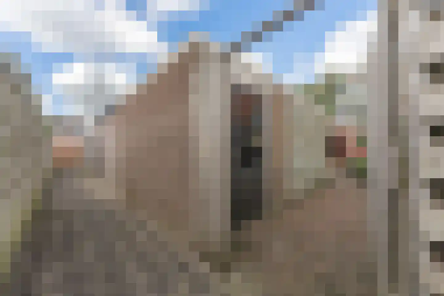 Jan Gooskaai 3 Enkhuizen thumbnail 44
