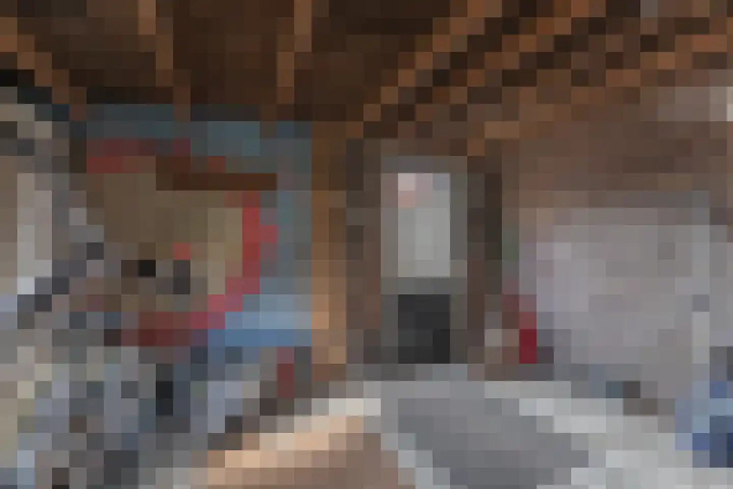 Jan Gooskaai 3 Enkhuizen thumbnail 46