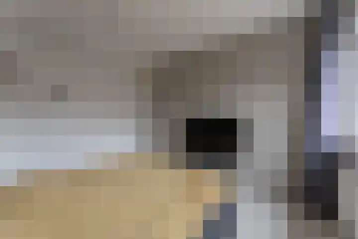 Jan Gooskaai 34 Enkhuizen thumbnail 20