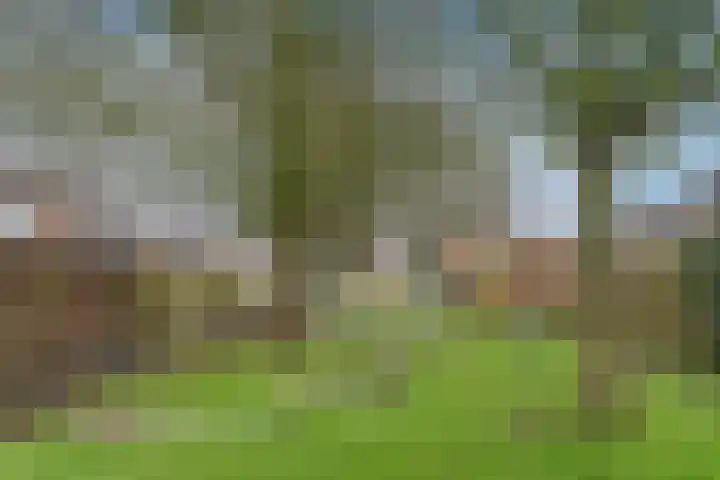 Jan Gooskaai 34 Enkhuizen thumbnail 33
