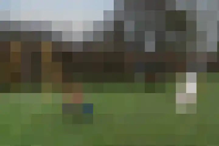 Jan Gooskaai 34 Enkhuizen thumbnail 38