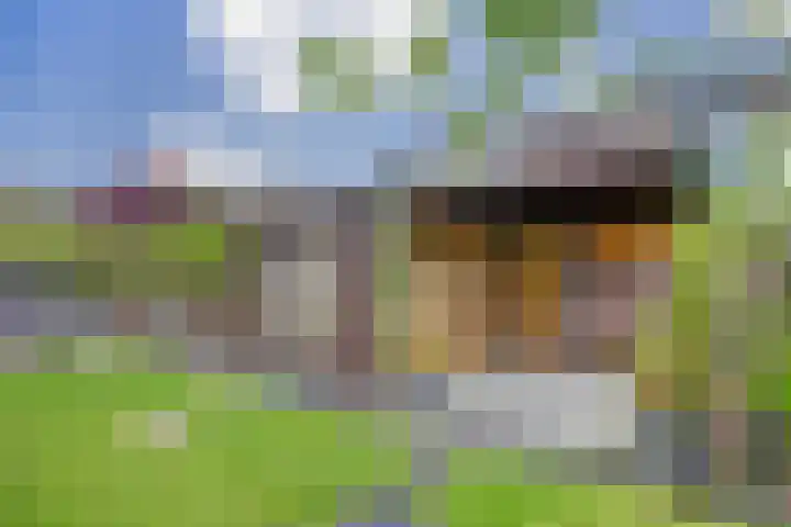 Jan Gooskaai 76 Enkhuizen thumbnail 30