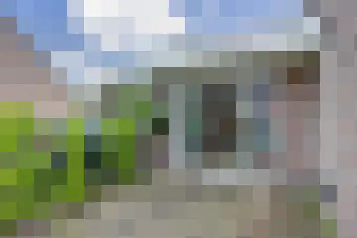 Jan Gooskaai 76 Enkhuizen thumbnail 35