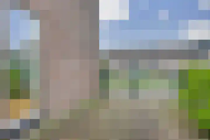 Jan Gooskaai 76 Enkhuizen thumbnail 36