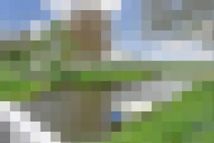 Jan Gooskaai 76 Enkhuizen thumbnail 38
