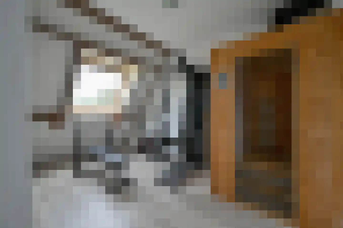 Jan Gooskaai 8 Enkhuizen thumbnail 22
