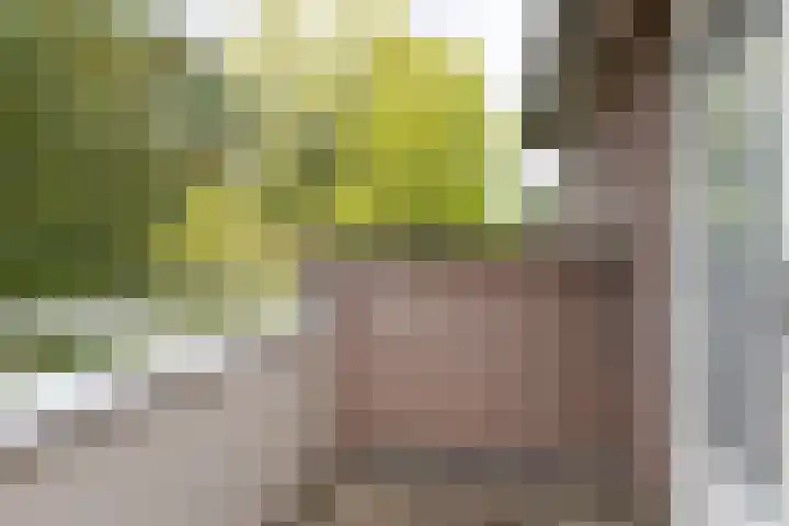 Jan Gossaertlaan 28 Bilthoven thumbnail 33