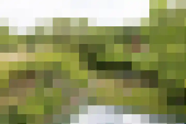 Jan Gossaertlaan 28 Bilthoven thumbnail 39